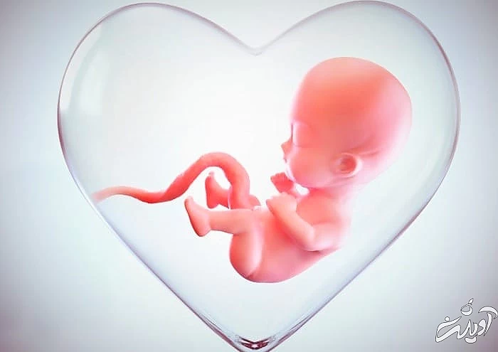 مرگ جنین در شکم